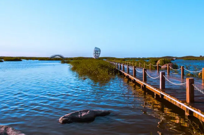 羊口镇旅游景点