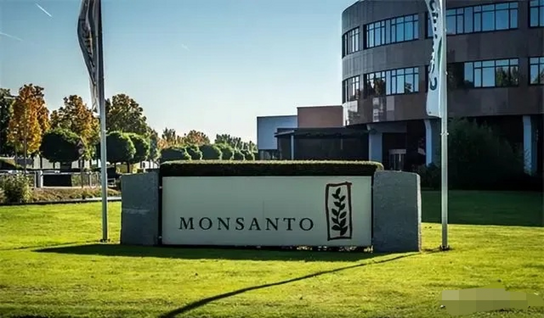 转基因# 当年,孟山都是怎么攻陷中国转基因阵地的?