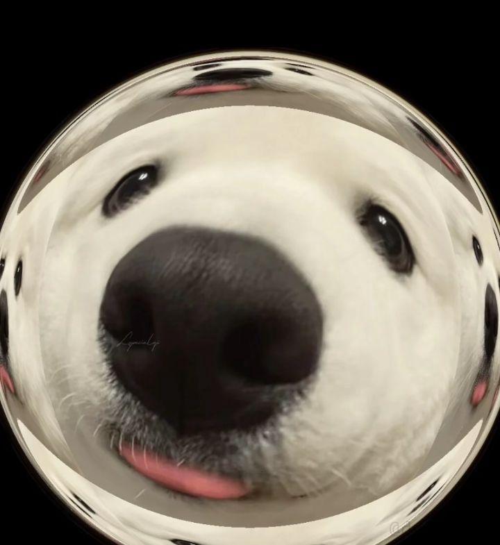 微博发图片怎样去水印