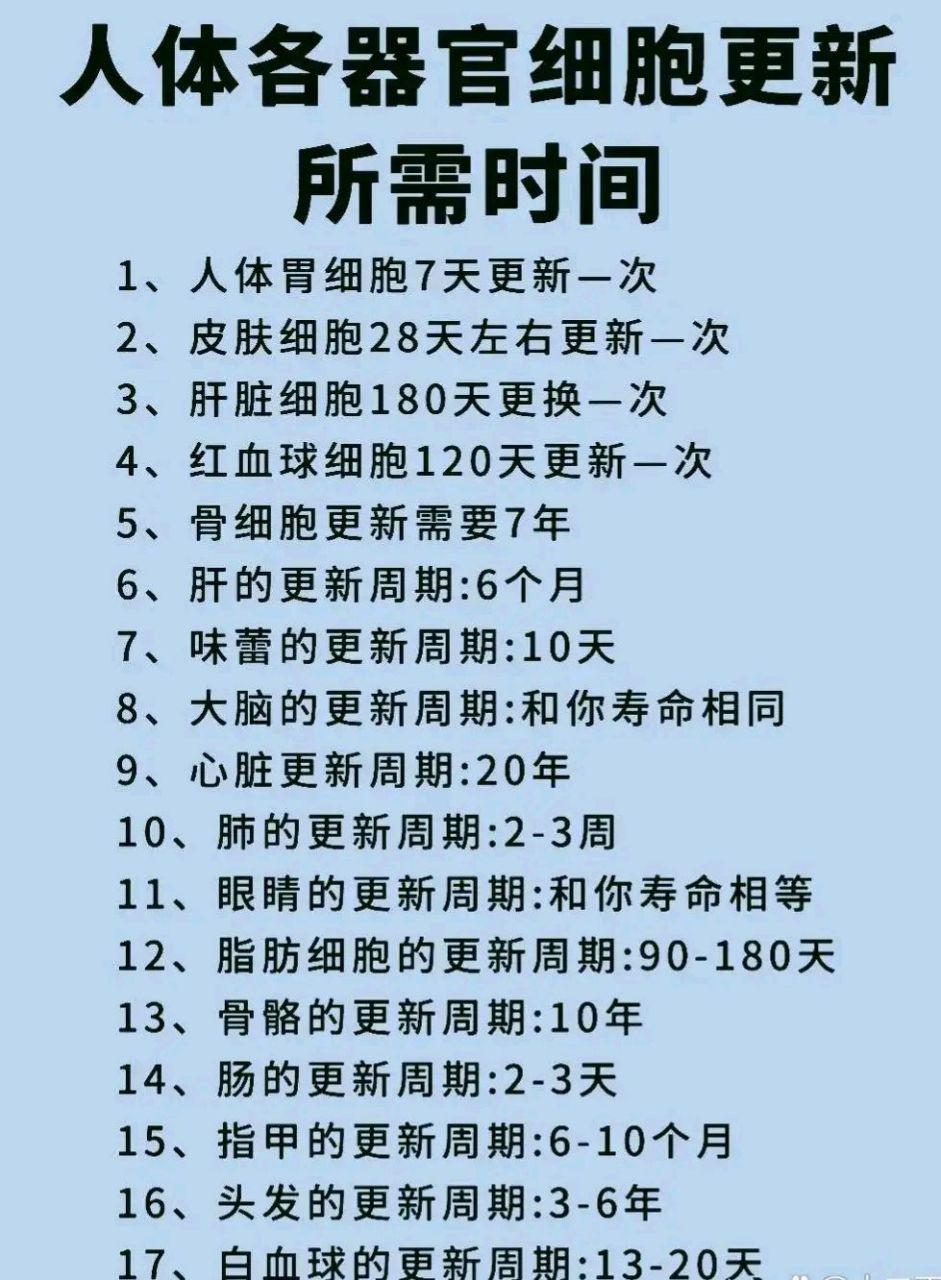 人体 各器官细胞更新所需时间: 肠更新周期只要2-3天,心脏的更新周期