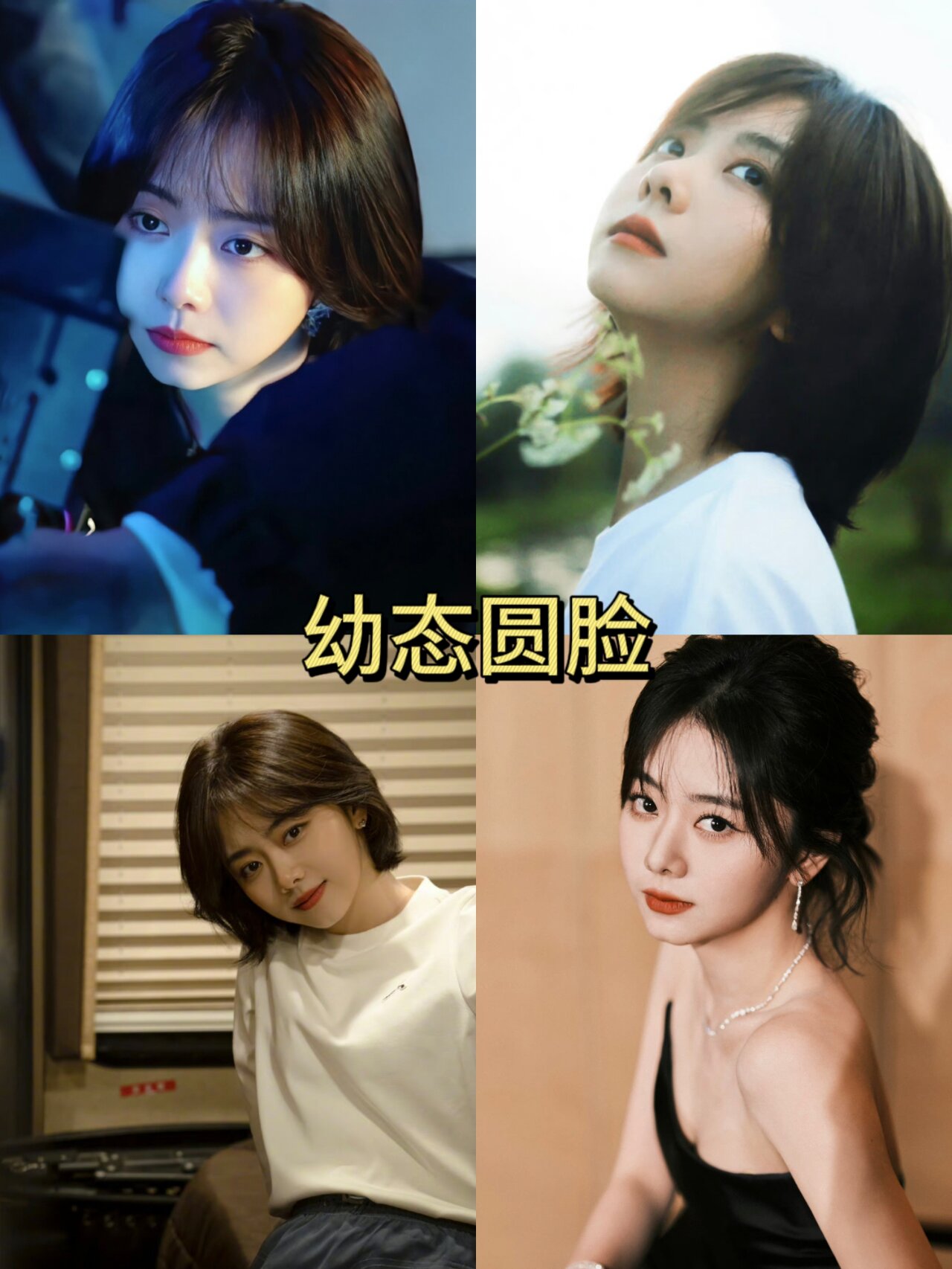 谭松韵的圆脸为何如此上相?