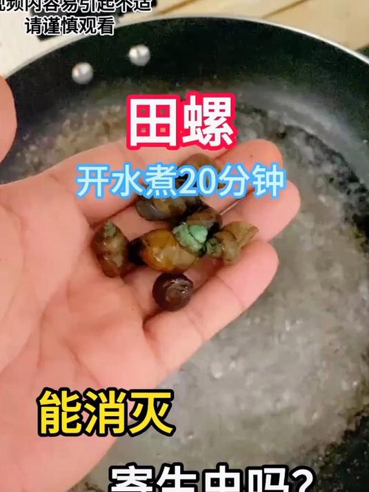 田螺寄生虫感染症状图片