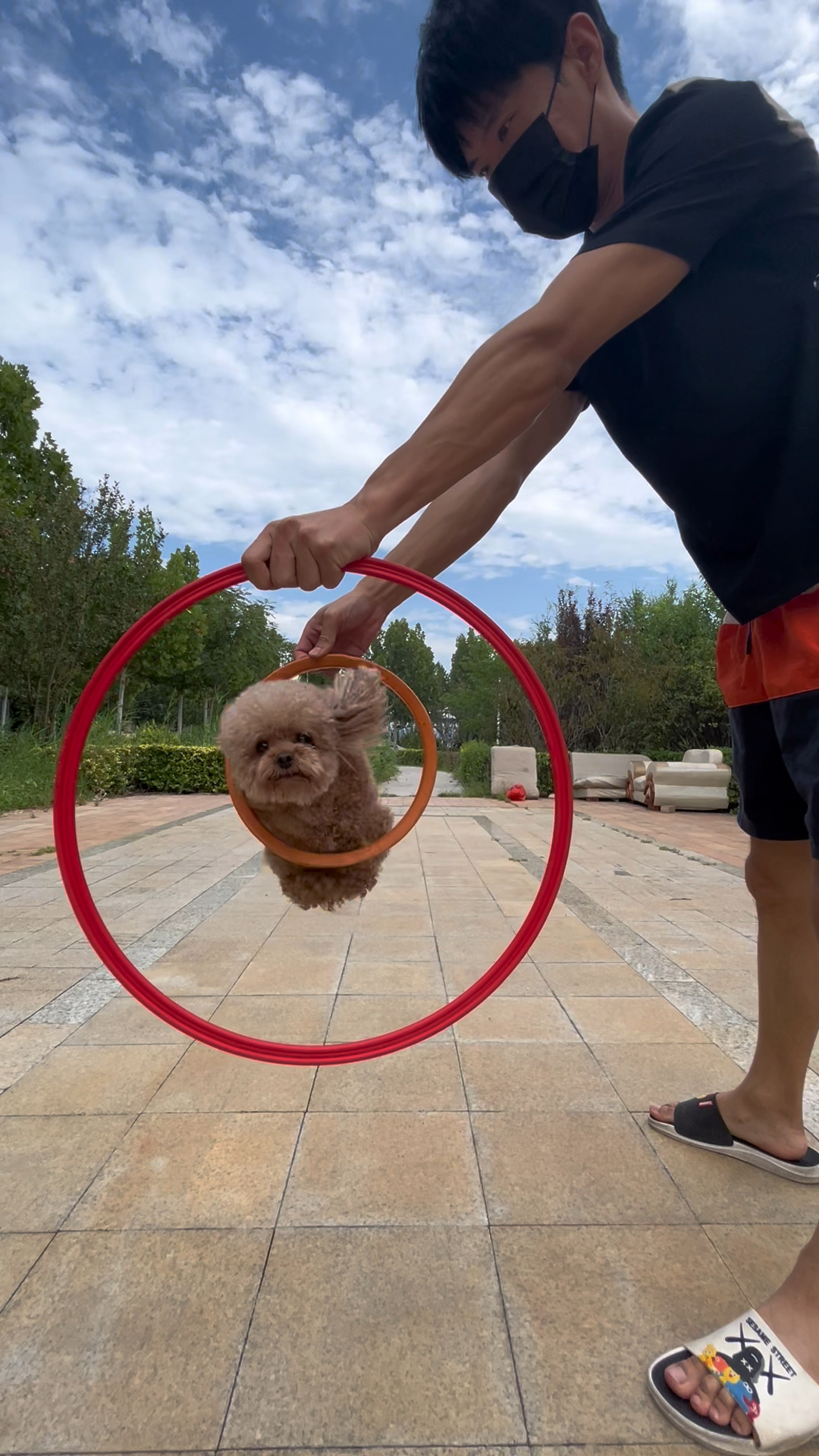 狗狗精准跳圈,分毫不差.