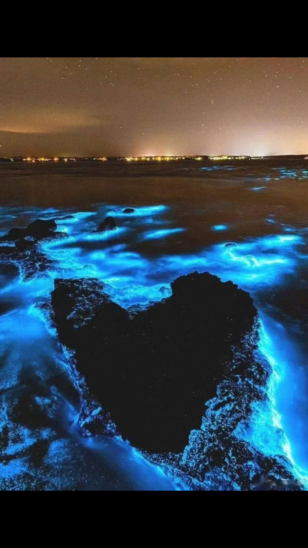 可以一起去看凌晨的海吗?