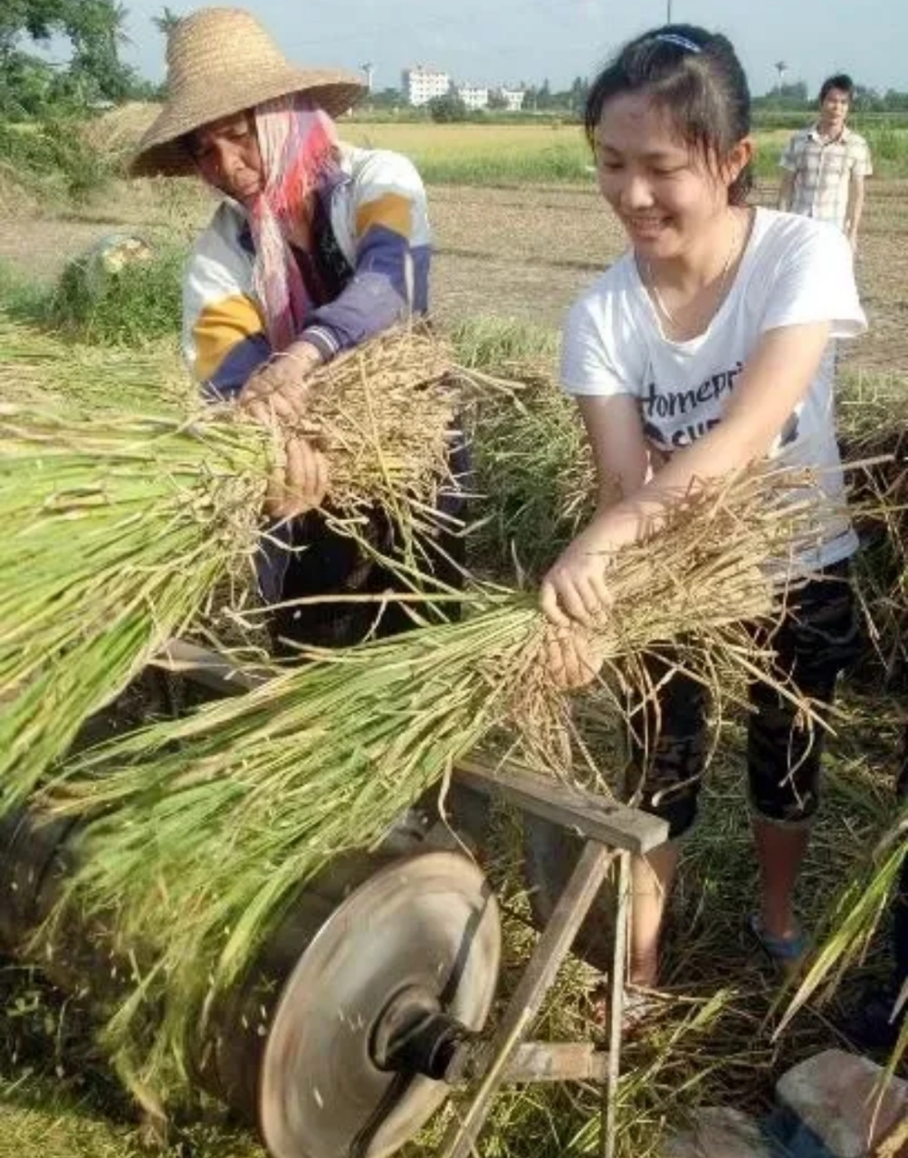 对农民称呼的变迁:没粮食吃的时候,叫俺农民爷爷; 刚有粮食吃的时候