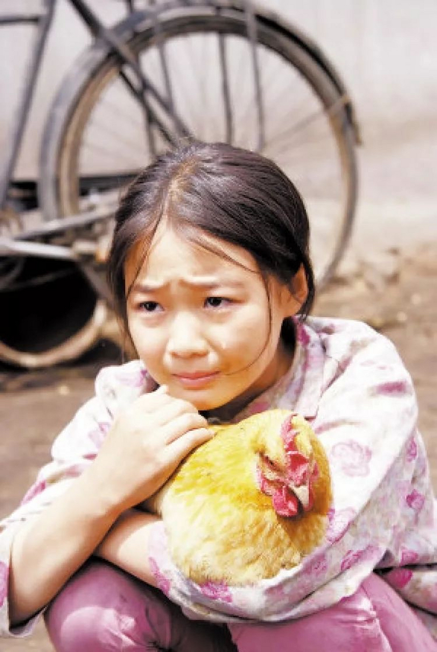 9部感人电视剧,有大爱无私的亲情,有忠贞不渝的爱情,让人沉浸其中