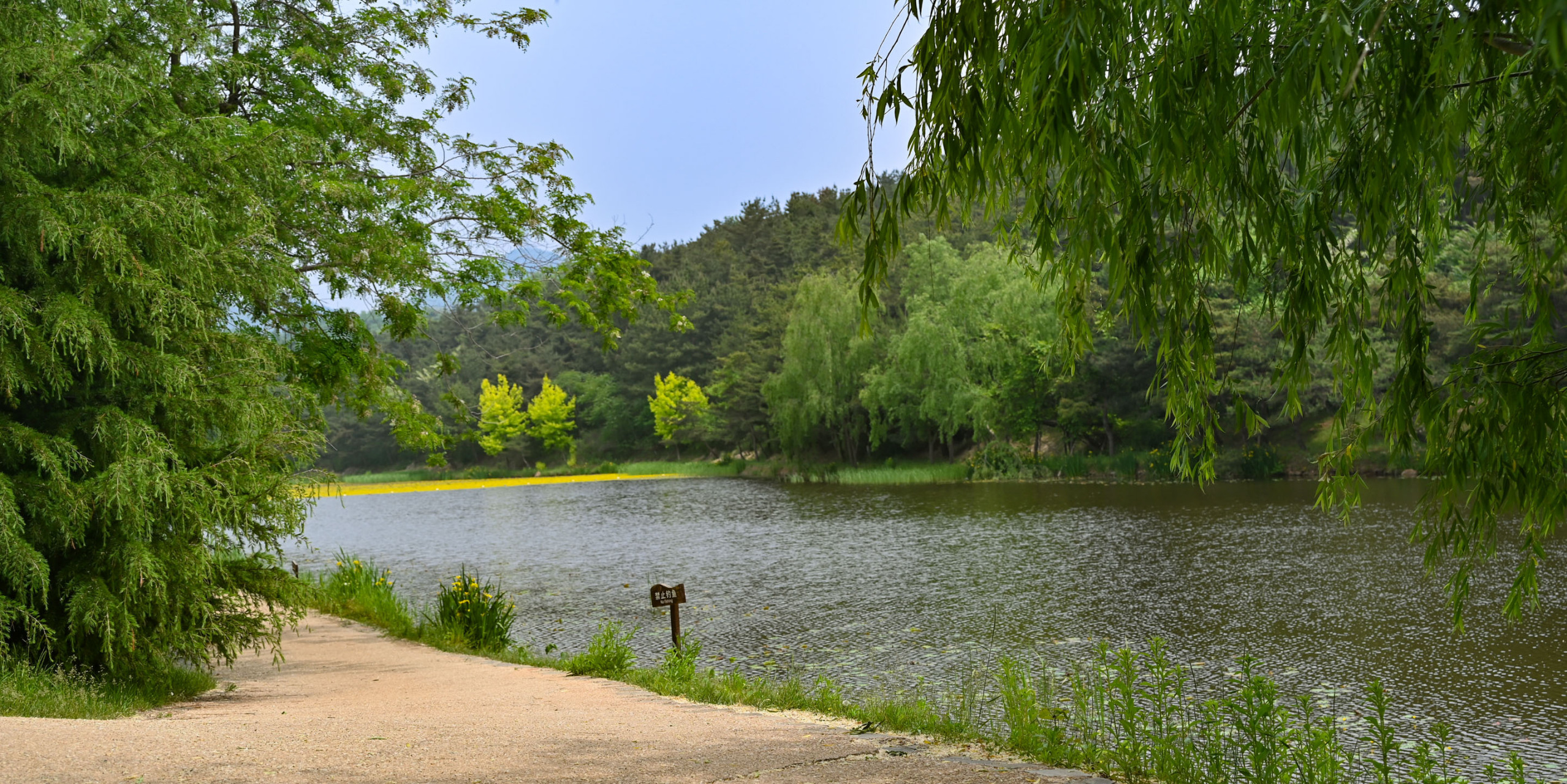 盛夏风景# 盛夏,找一处山野漫游.