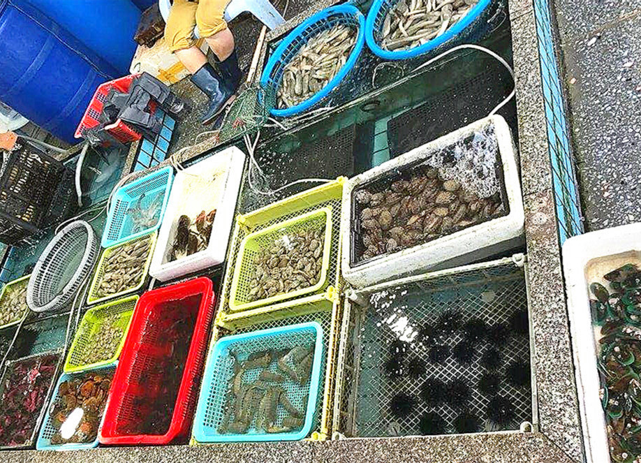 惠东霞涌海鲜市场