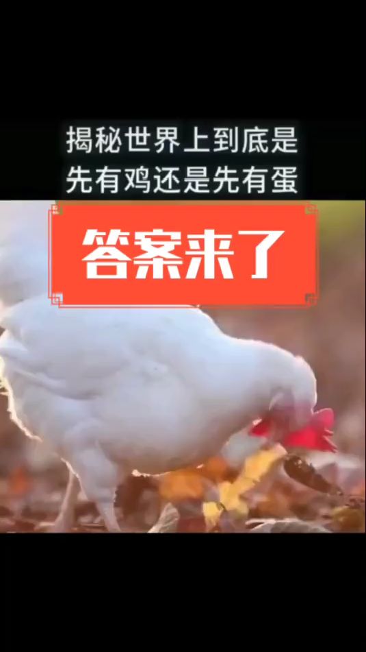 先有鸡,还是先有蛋?答案来了
