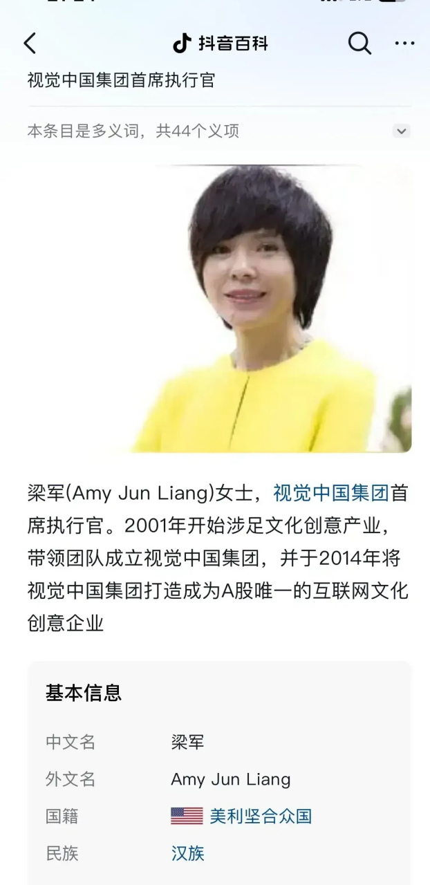 视觉中国创始人梁军,清华大学毕业,美国国籍,现任董事长廖杰,加拿大