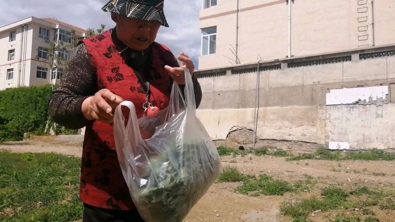 吃野菜时候到了,这种野菜吃不对浮肿,听听老太怎么吃