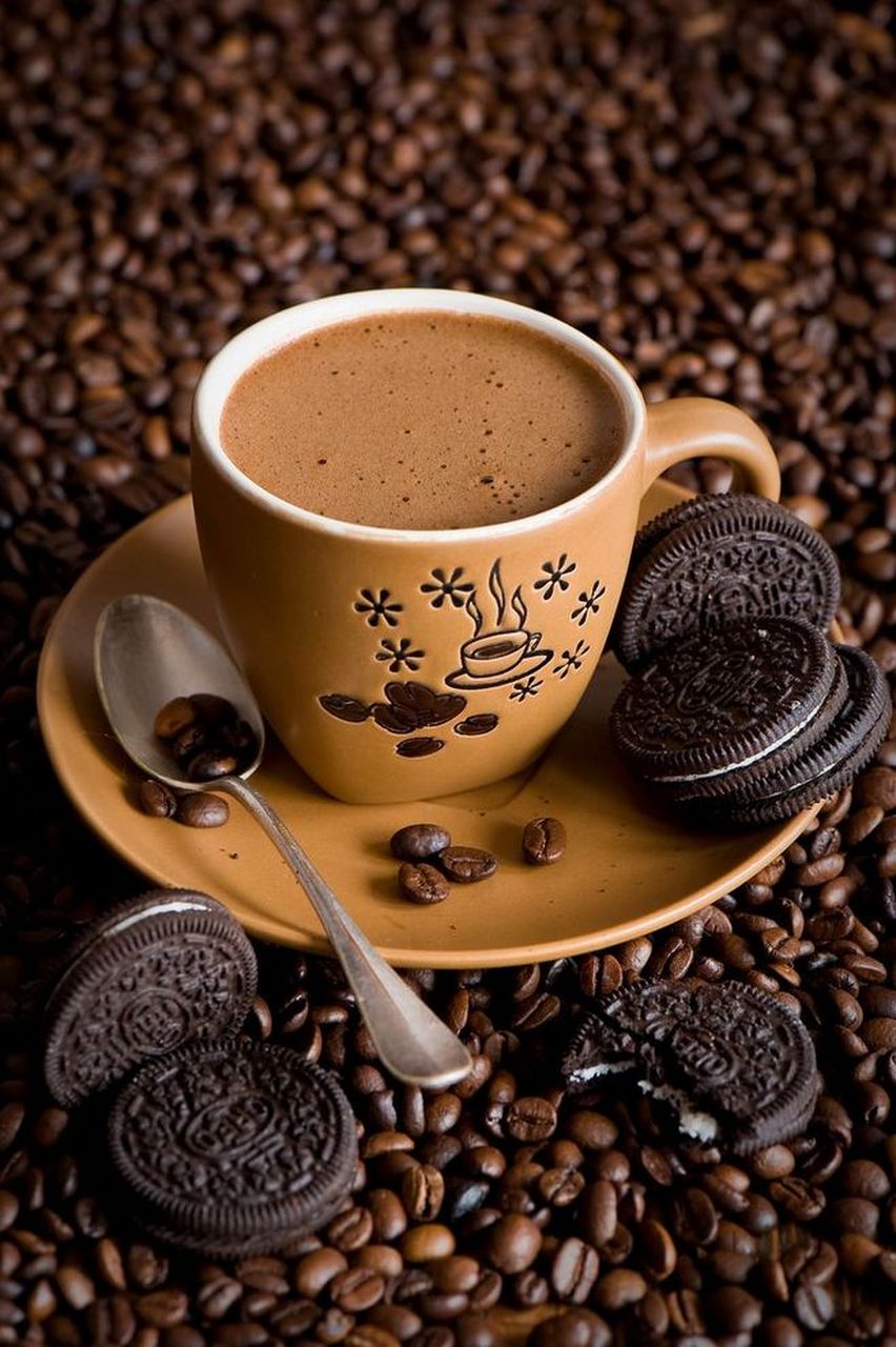 人生就像一杯没有加糖的咖啡,喝起来去苦涩的.