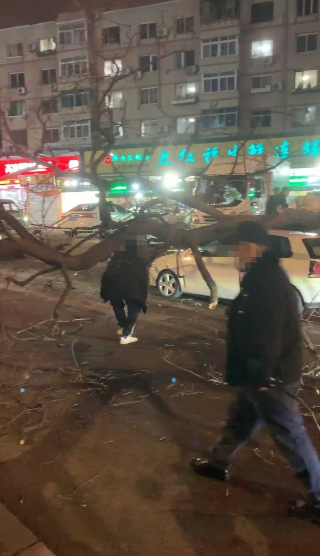 能给这么大一棵树直接吹折腰……