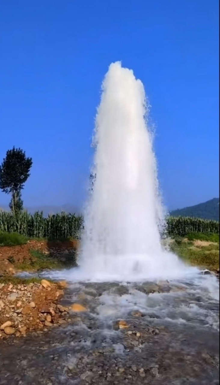 田间地头居然出现了喷泉!而且水量充足!