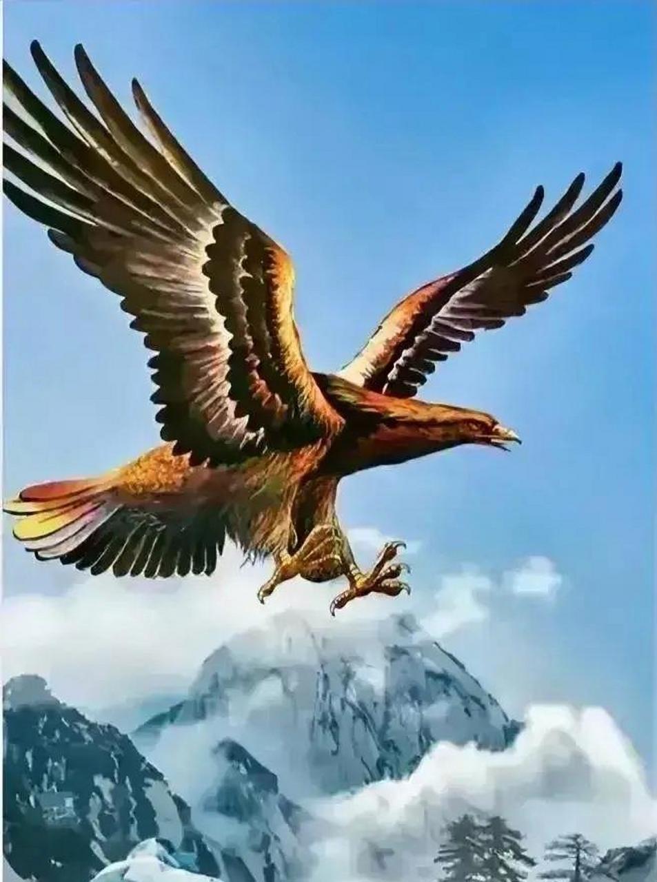 神鹰7515展翅张翼可凌云,尖爪利喙慑雀魂,鸣击长空傲环宇,扶摇直