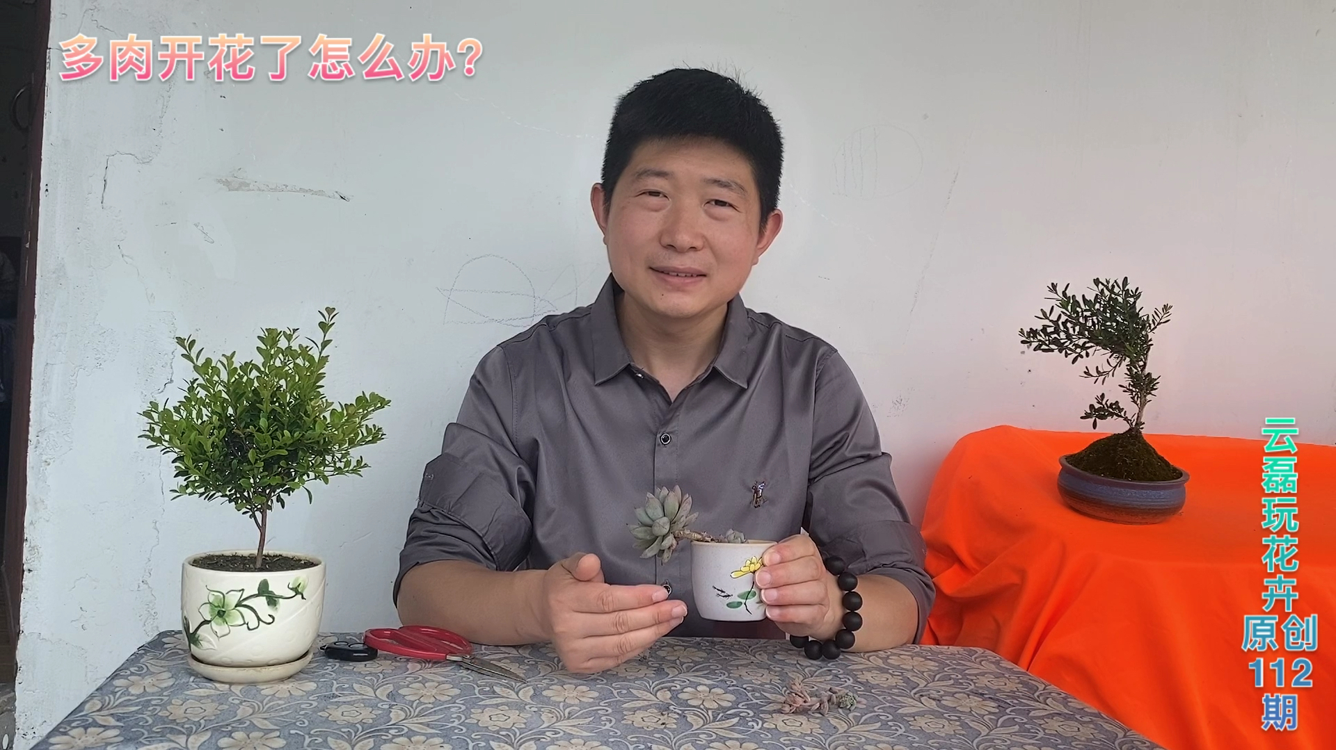 多肉长出花剑了怎么办?这样操作,让你的多肉迅速恢复生机!