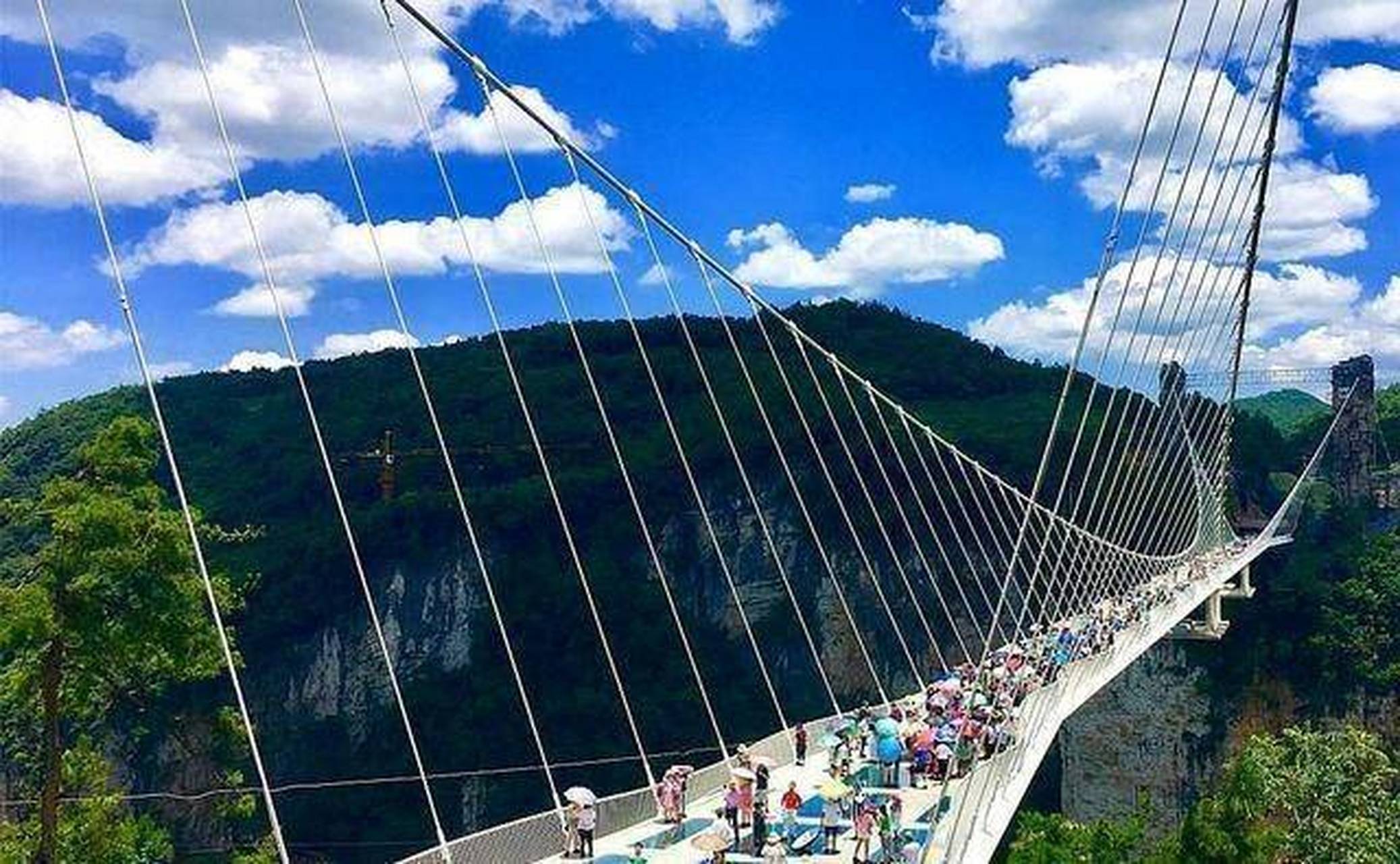 6亿元,堪称世界玻璃桥奇迹.