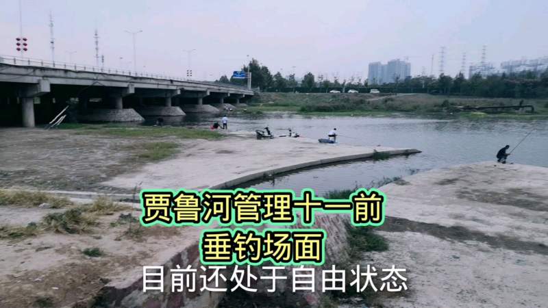 十一后贾鲁河实施划片钓鱼管理记录下最后的自由垂钓场面