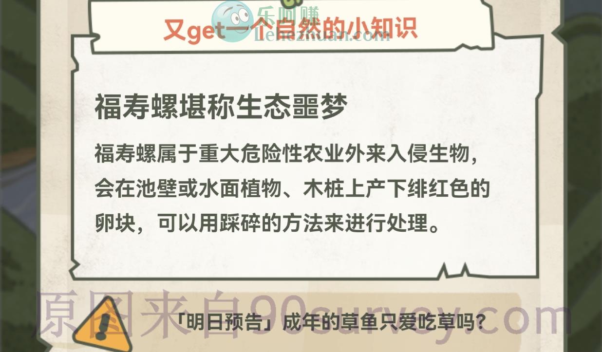 岸边的稻田里、小溪的石头上大量的一团团粉色可能是？答案：福寿螺