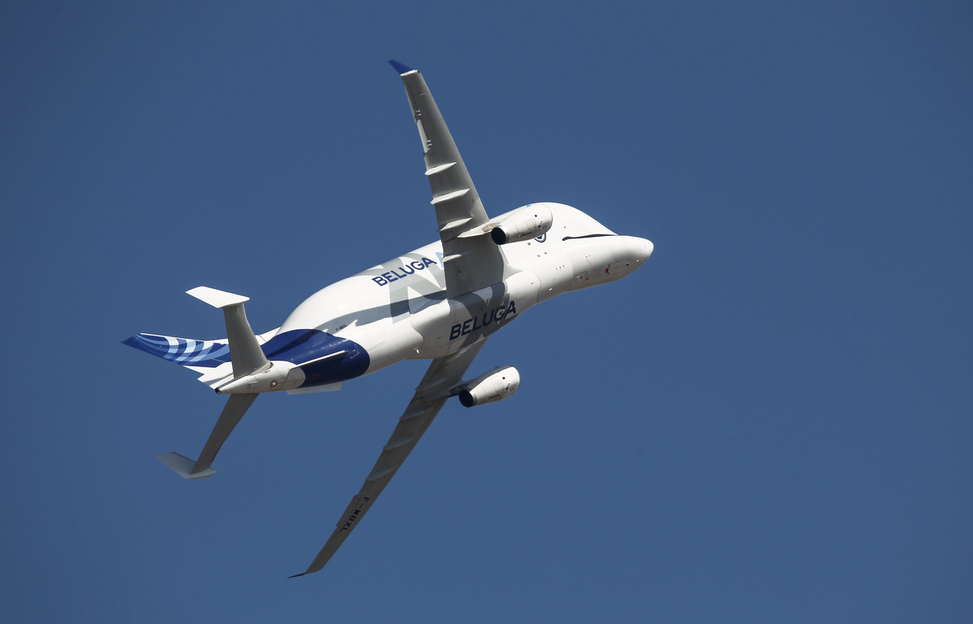 飞翔的欧洲空客大鲸鱼 知名的空客公司运输飞机大型部件的超级大白鲸