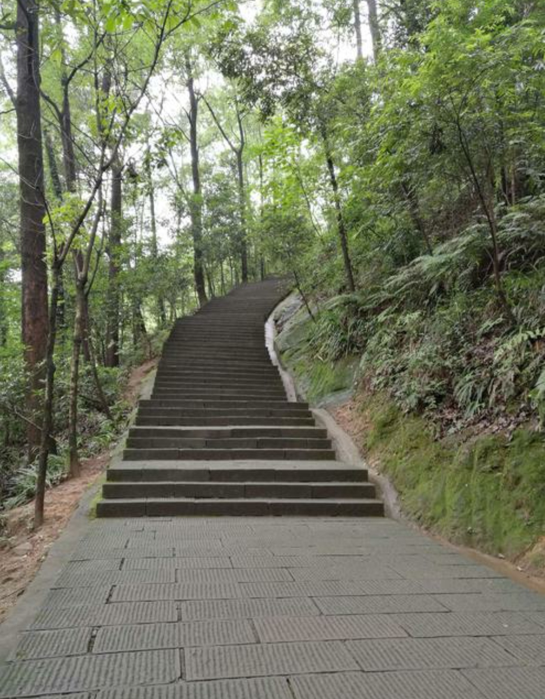 重庆歌乐山登山步道图片