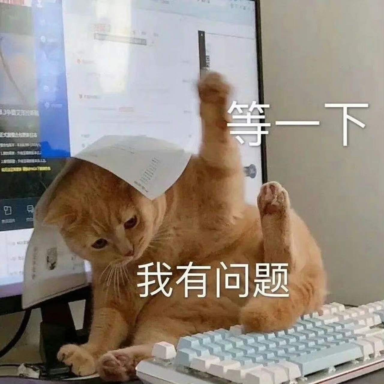 斗图必备表情包…等一下我有问题