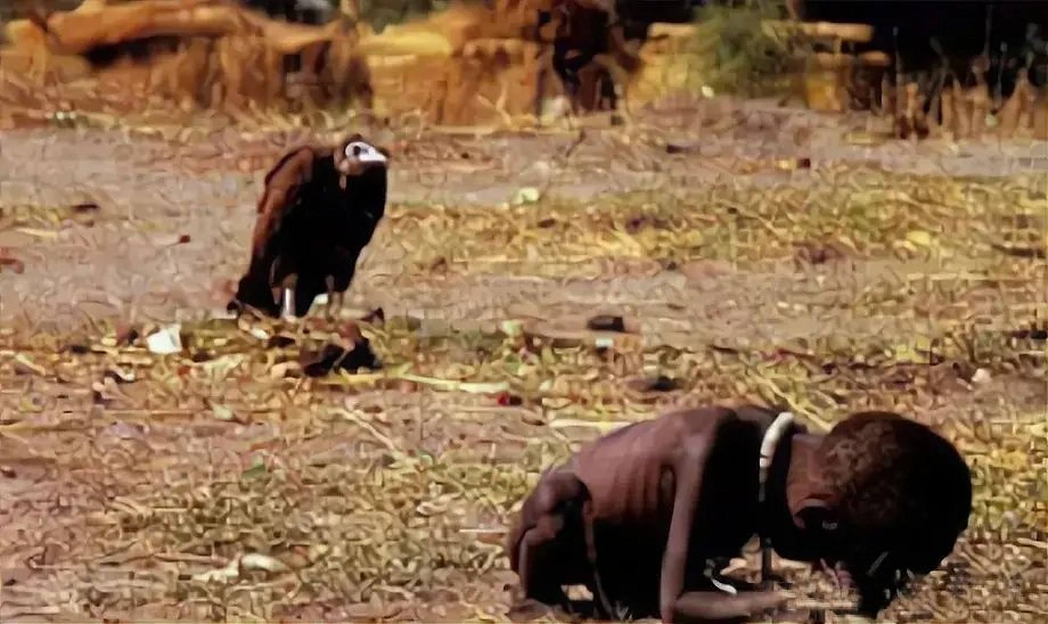 这张照片叫做《饥饿的苏丹》,一位瘦弱的苏丹小孩蜷缩在地上,无力动弹