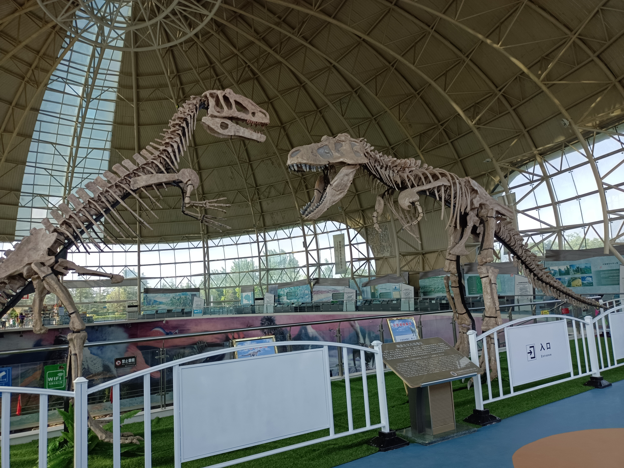 科普打卡地-诸城中国暴龙馆