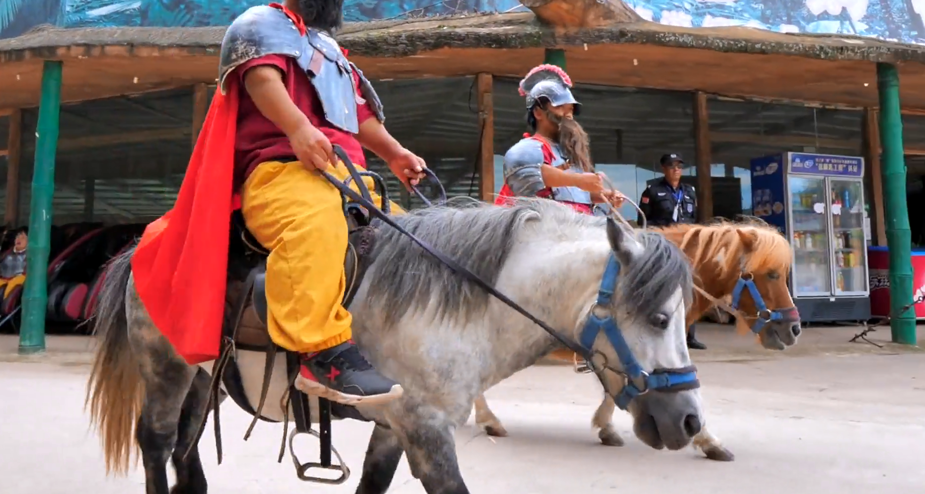 云南马(云南马永升)