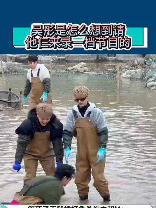 吴彤是怎么想到请他仨来录一档节目的