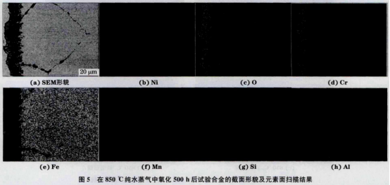 鎳基合金incoloy800h成分性能適用領域