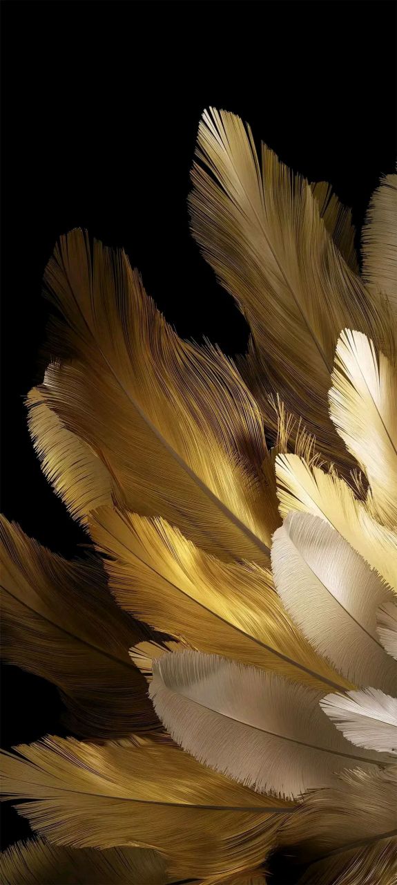 系统内置壁纸～羽毛系列