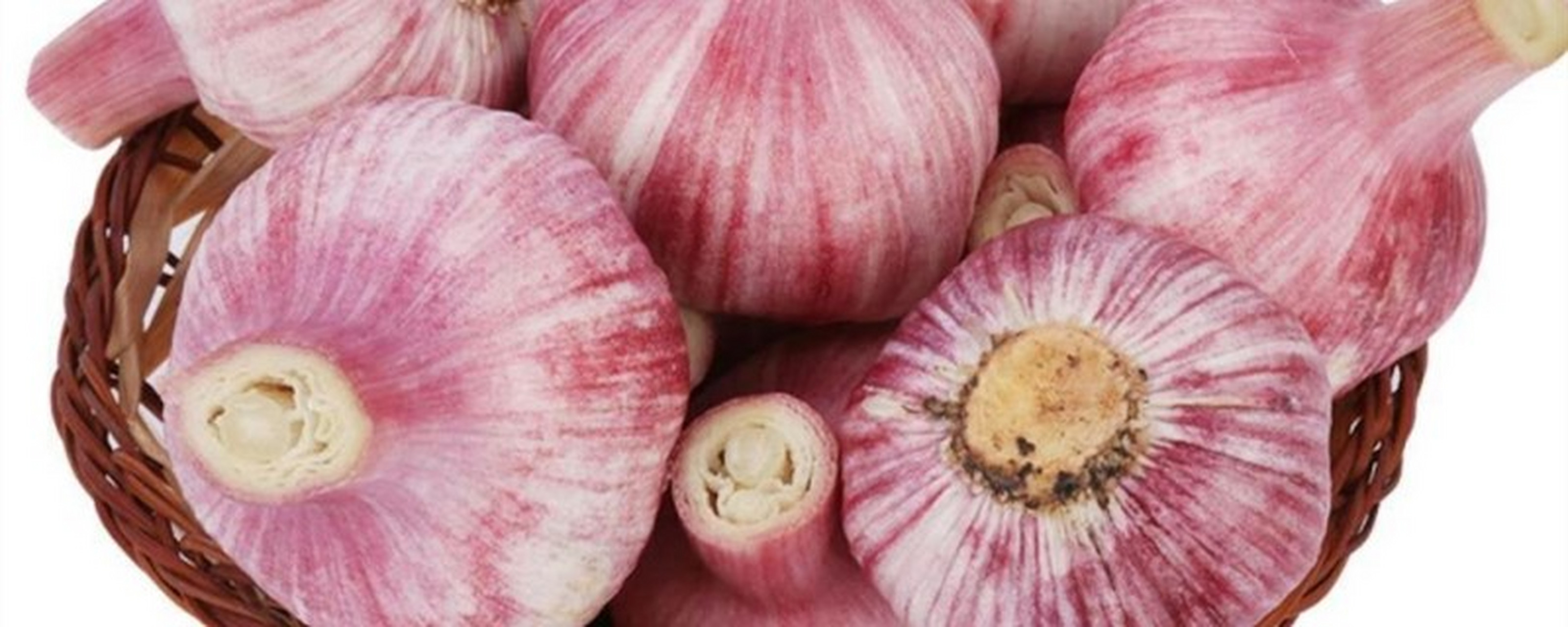 现在正值大蒜收获的季节, 山东省商河县白桥镇素来有"大蒜之乡"的美誉