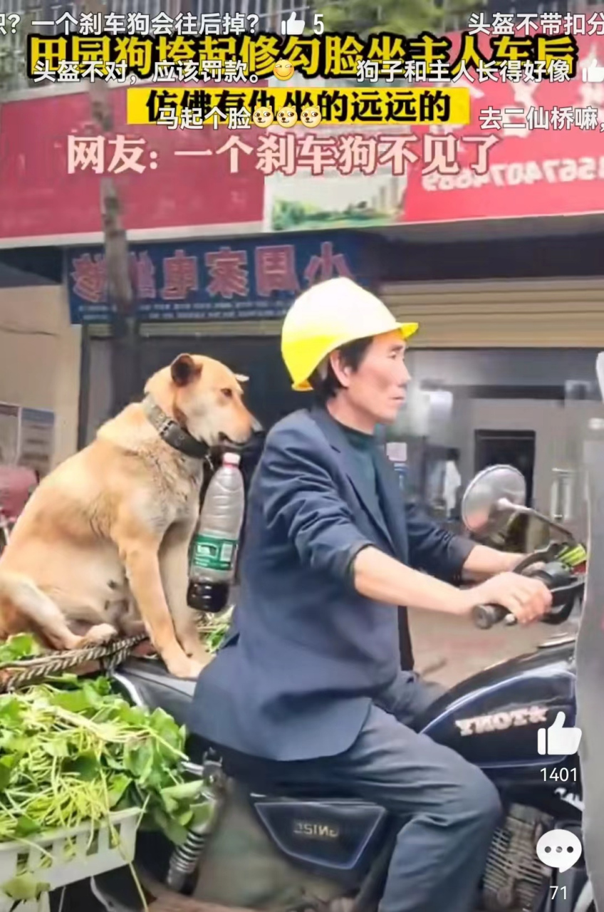 潮男一群土狗表情包图片