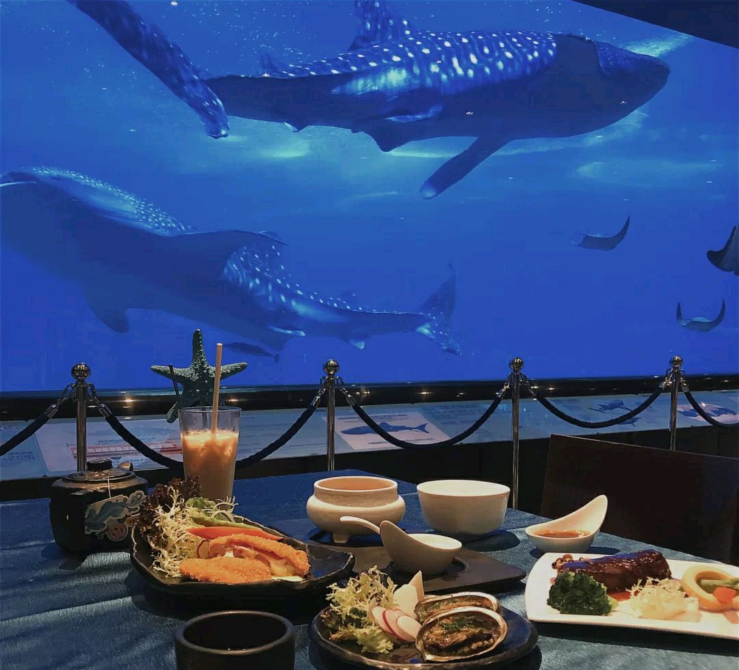 珠海长隆海底餐厅,环境不错,但是人均消费200起!
