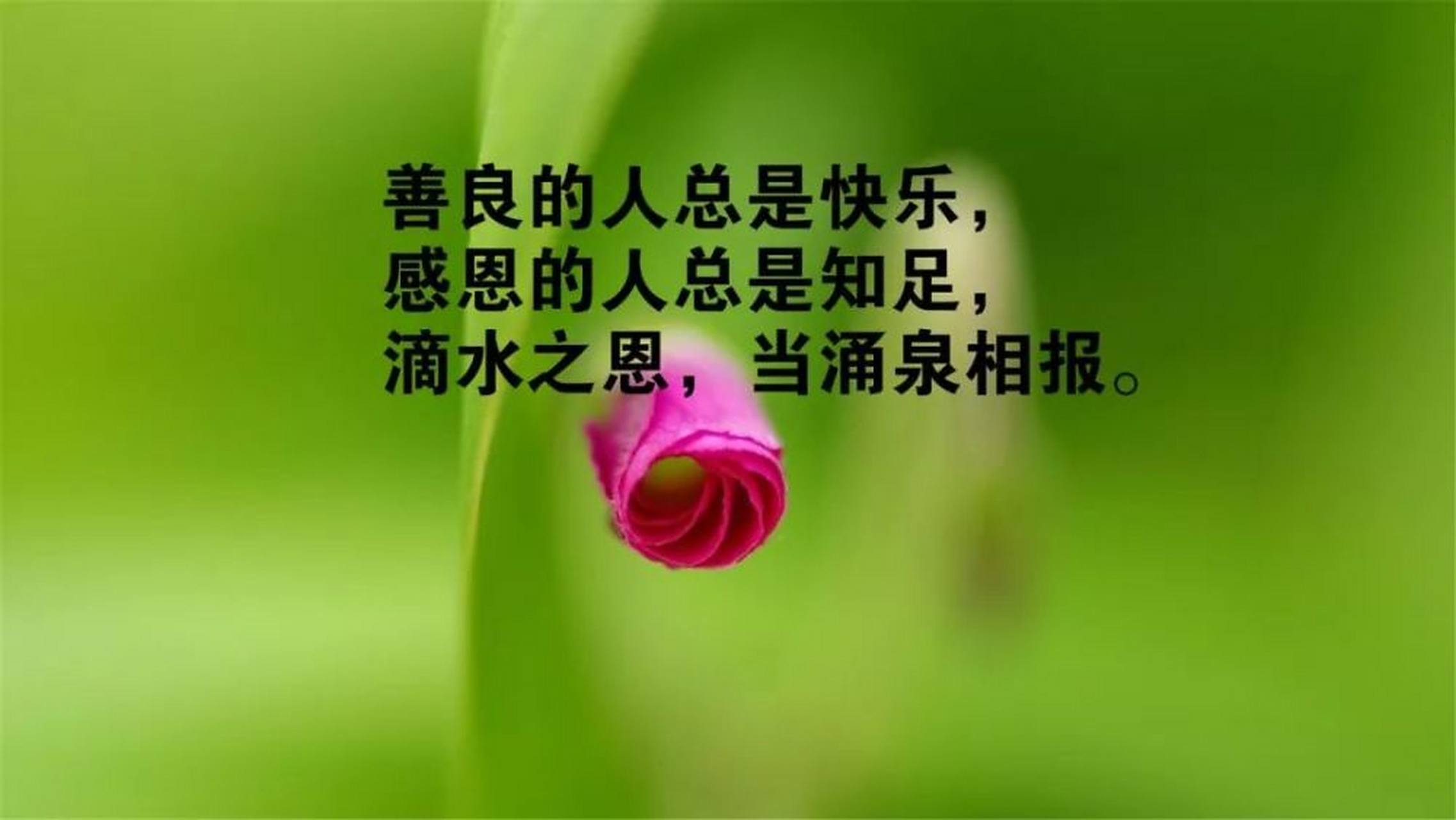 关于人生哲理的禅言妙语,分享给朋友们:  1,人生百年,转眼成空.生不带