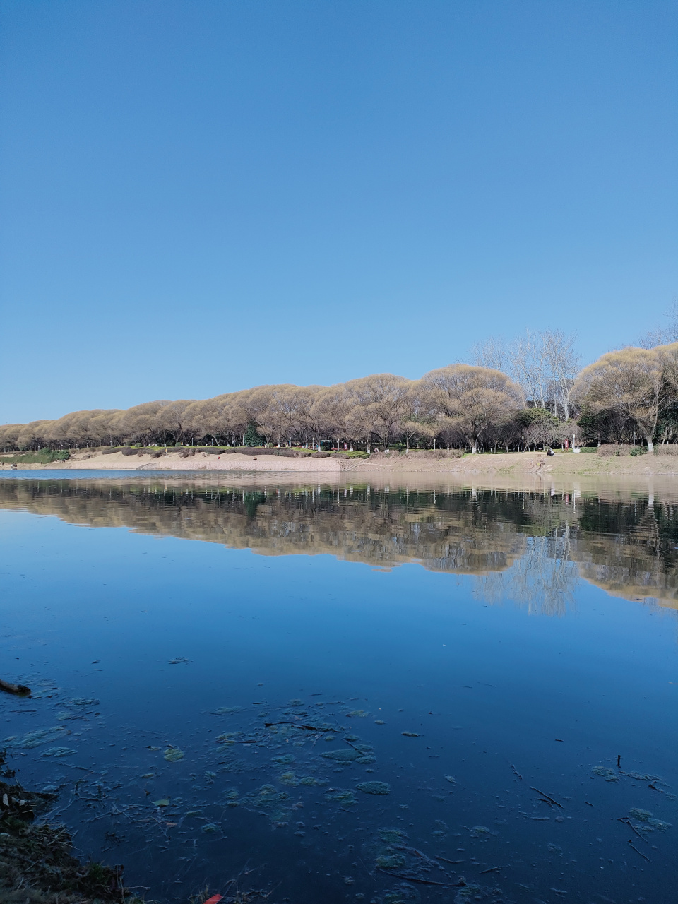 漯河沙澧公园图片