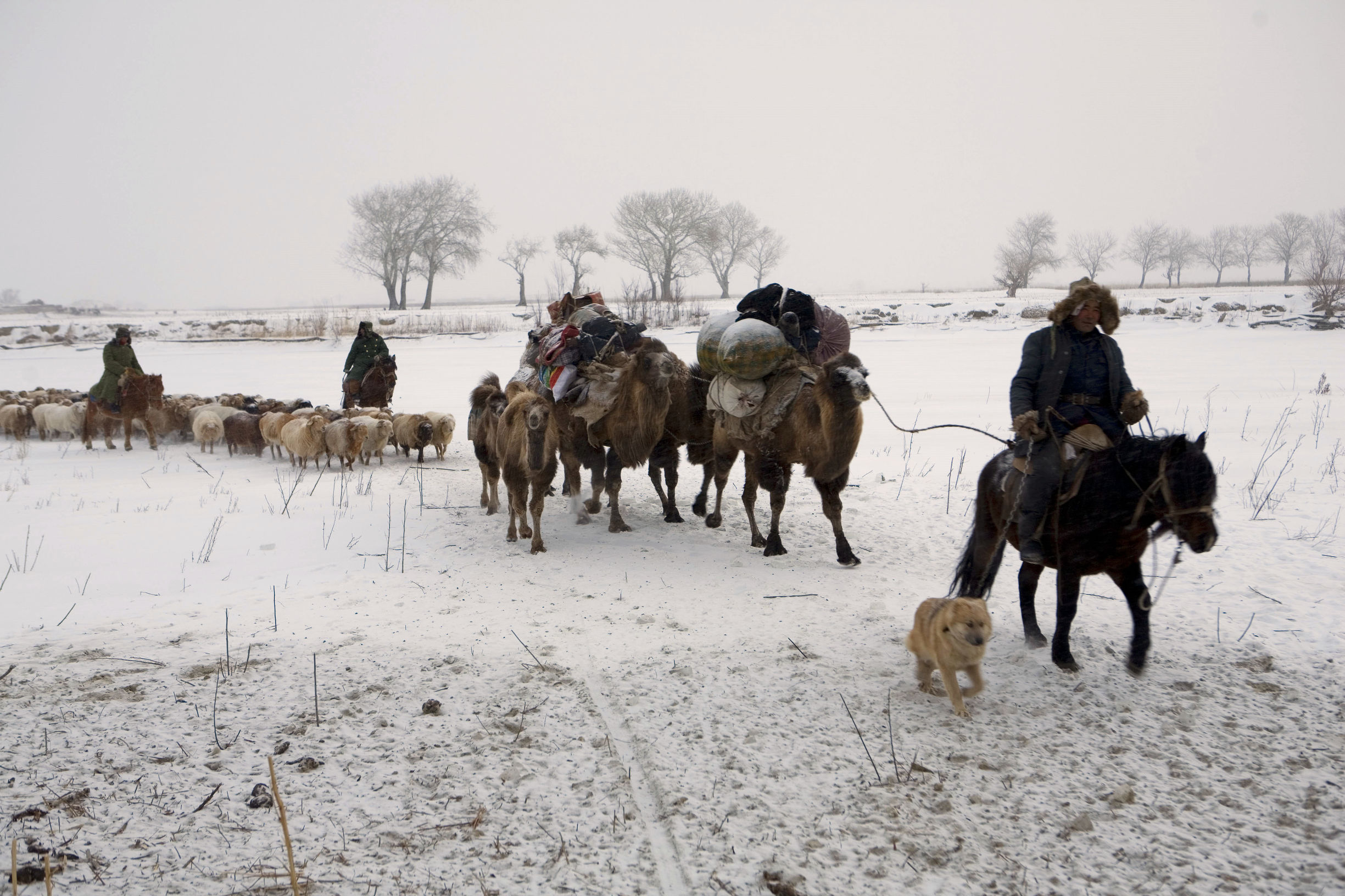 唐朝灭突厥推动了欧洲文艺复兴?有趣的历史蝴蝶效应