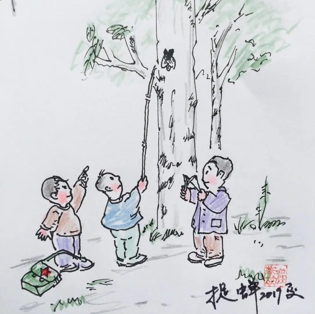 奉上捉知了以文会友回忆童年求雅正
