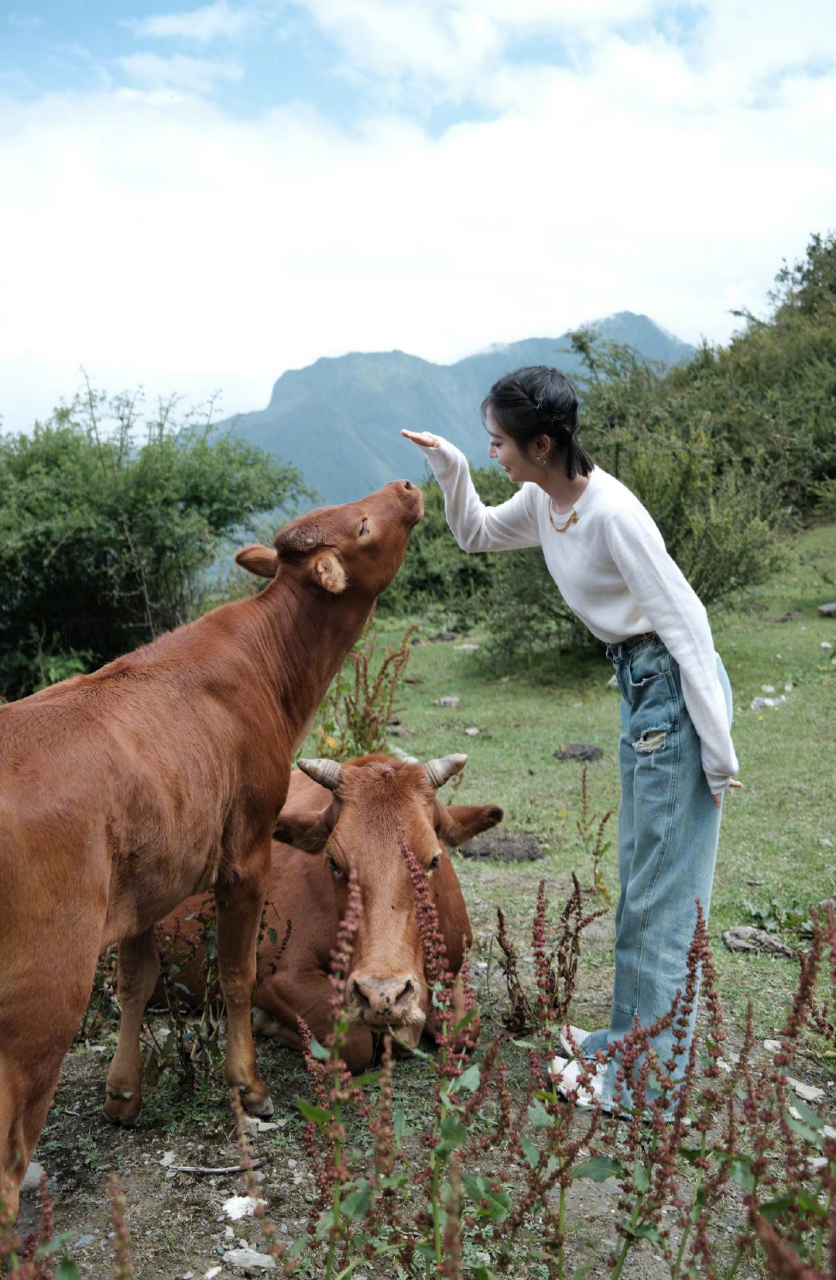 陈钰琪跟牛牛的合照,好乖啊