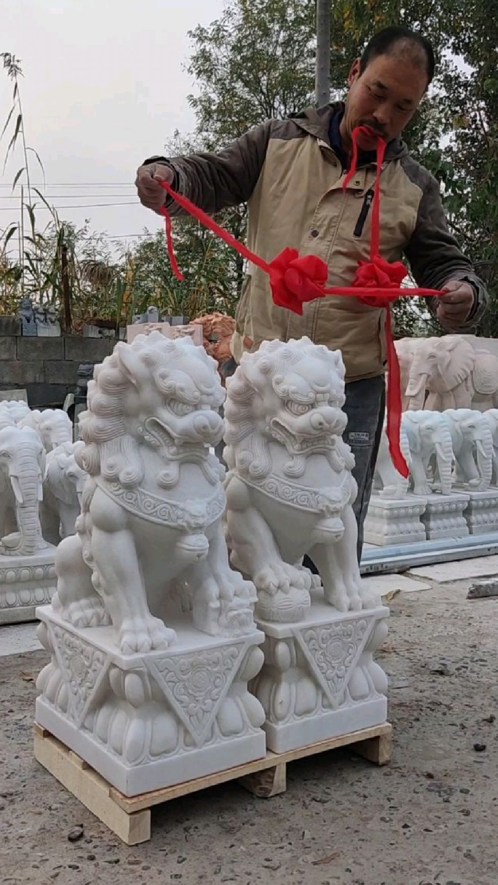 汉白玉石狮子,庭院门口摆件,大理石狮子