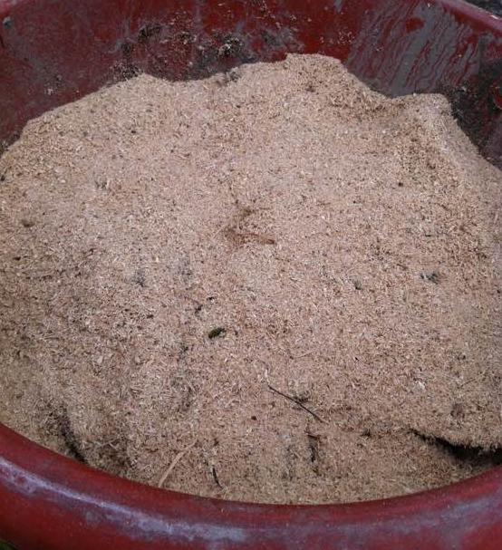 没有沤肥的条件,直接用咖啡渣发酵当肥料可以吗?