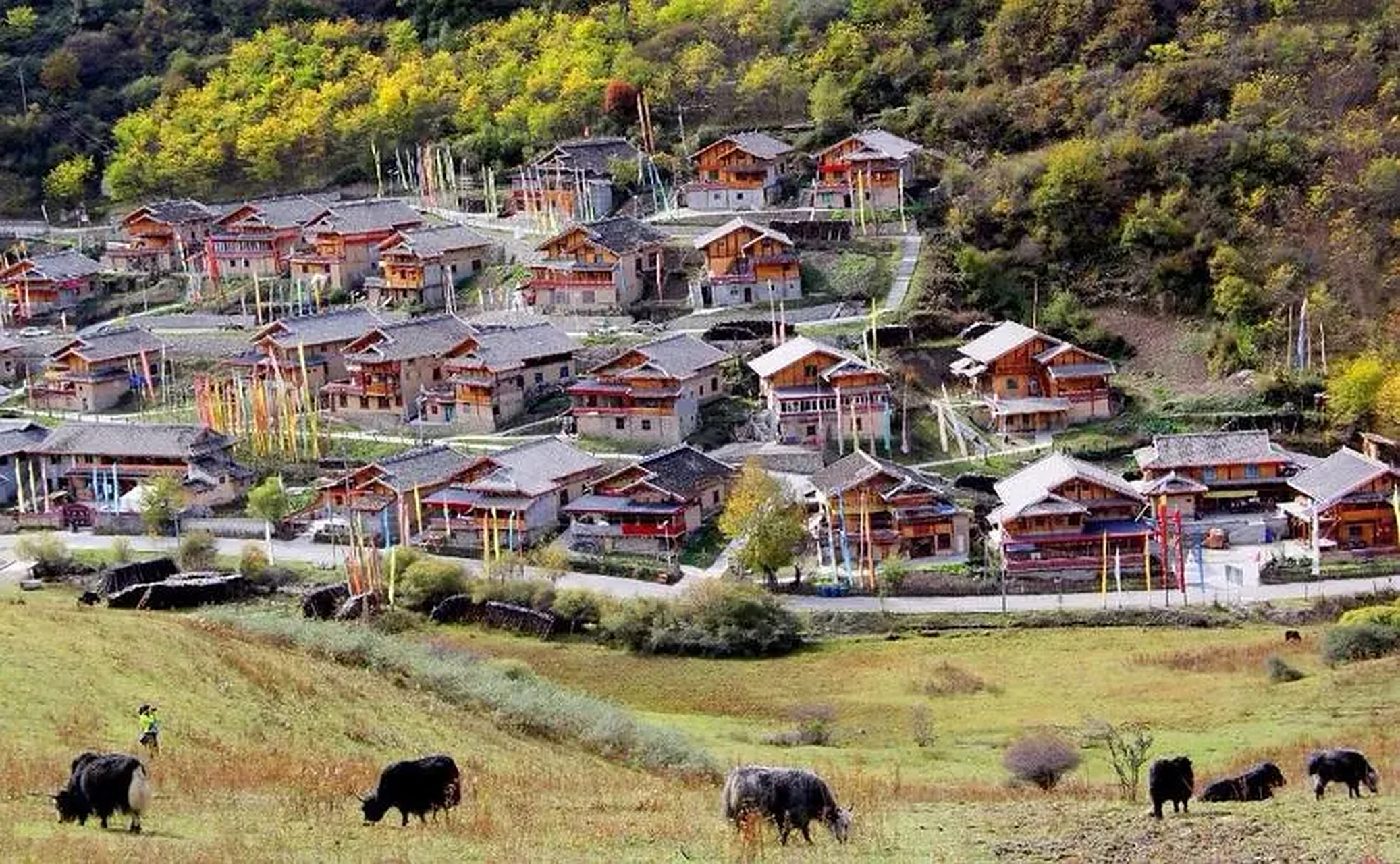 树正寨是九寨沟最热门的一个藏族村落,也是九寨沟藏族美食的集结中心