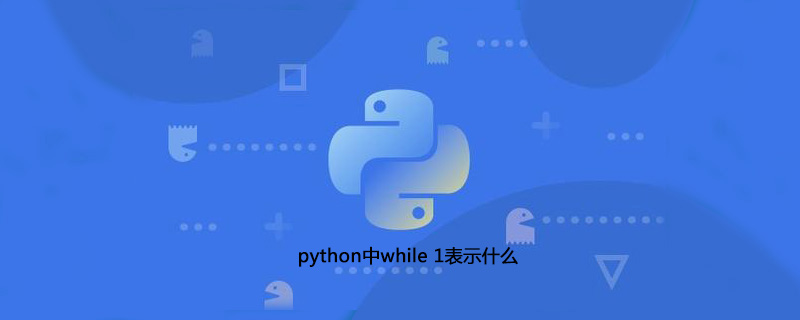 python中的while 1是什么意思