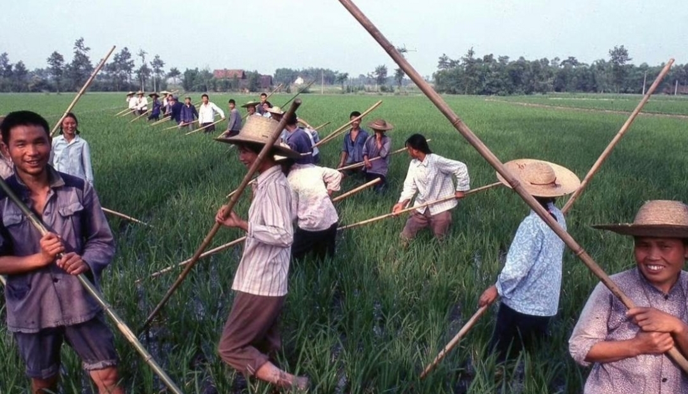 上世纪金堂县农民在生产队劳动的照片.