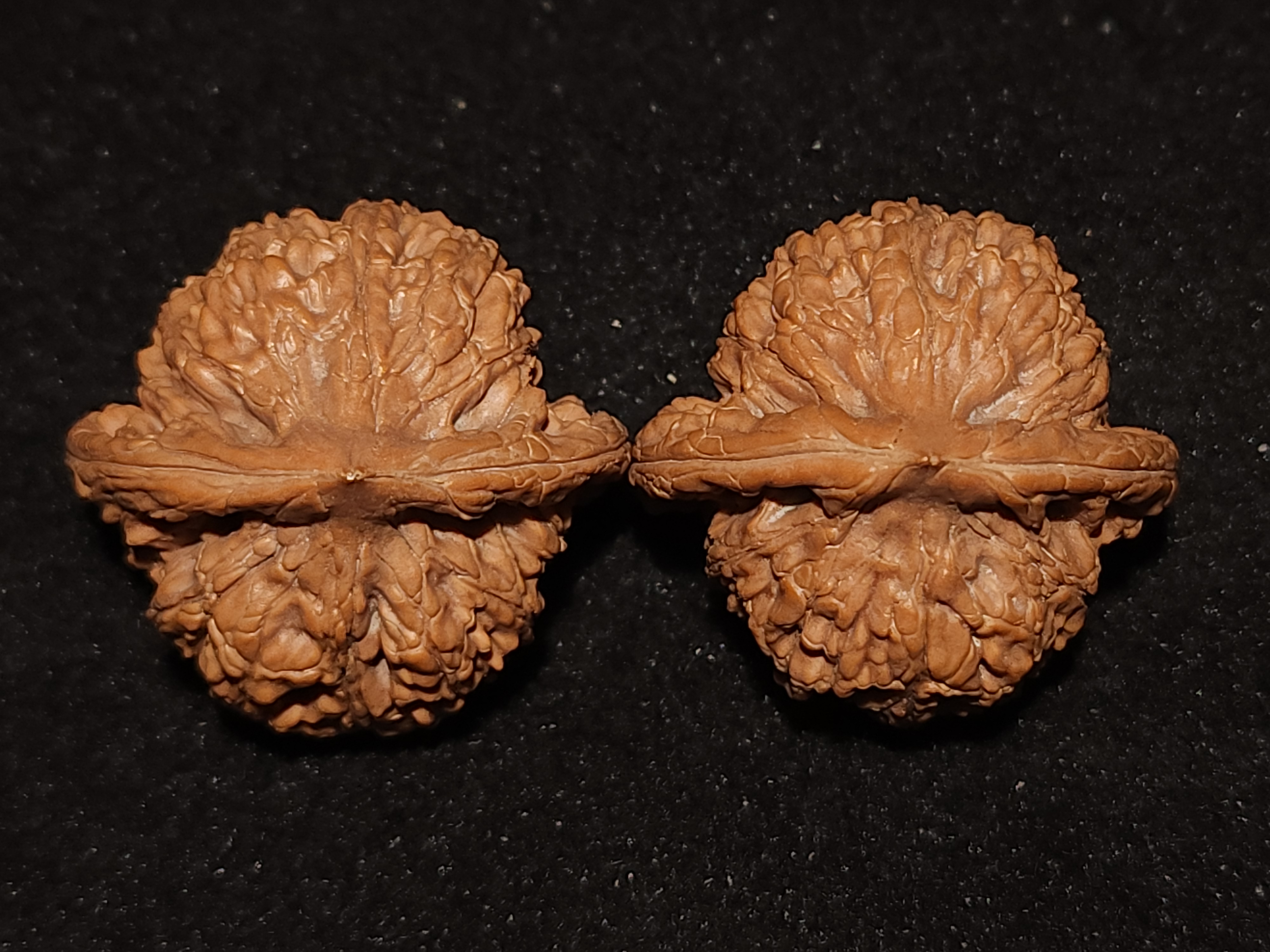 小众核桃云龙纹公子帽