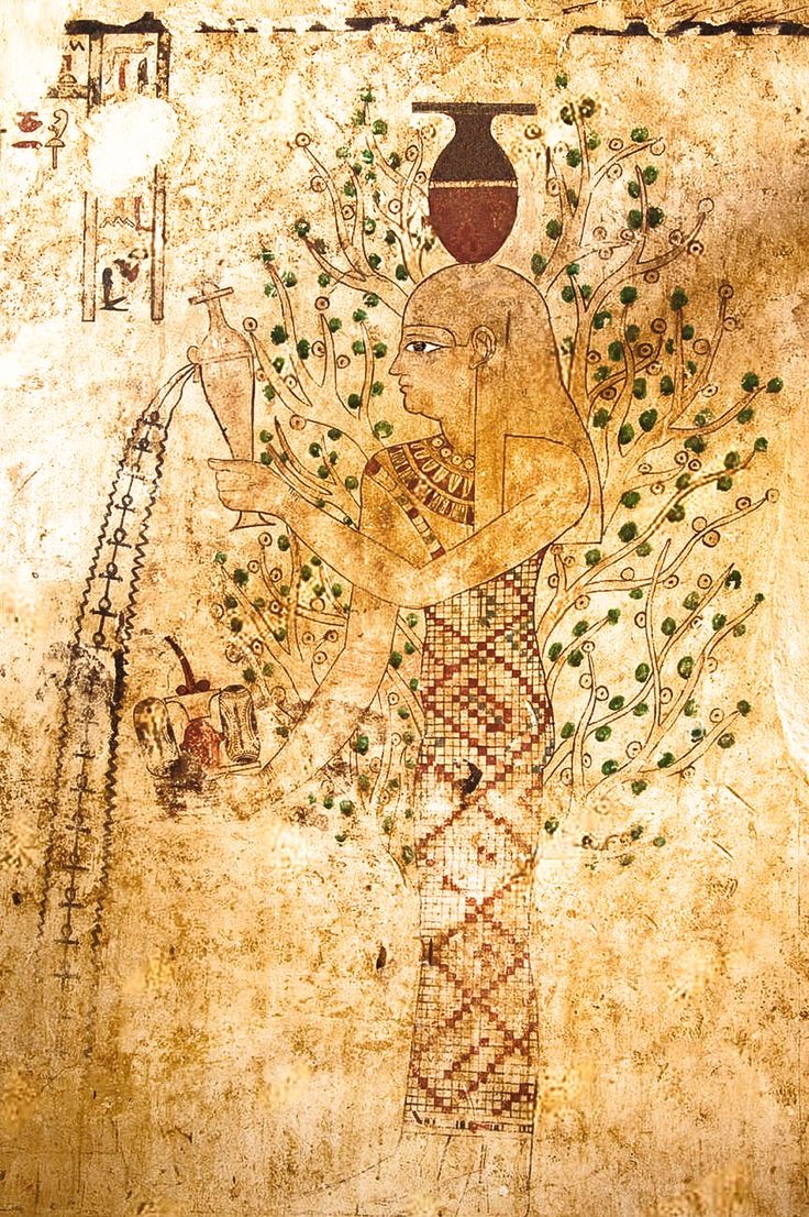 无花果树,埃及神话中的生命之树