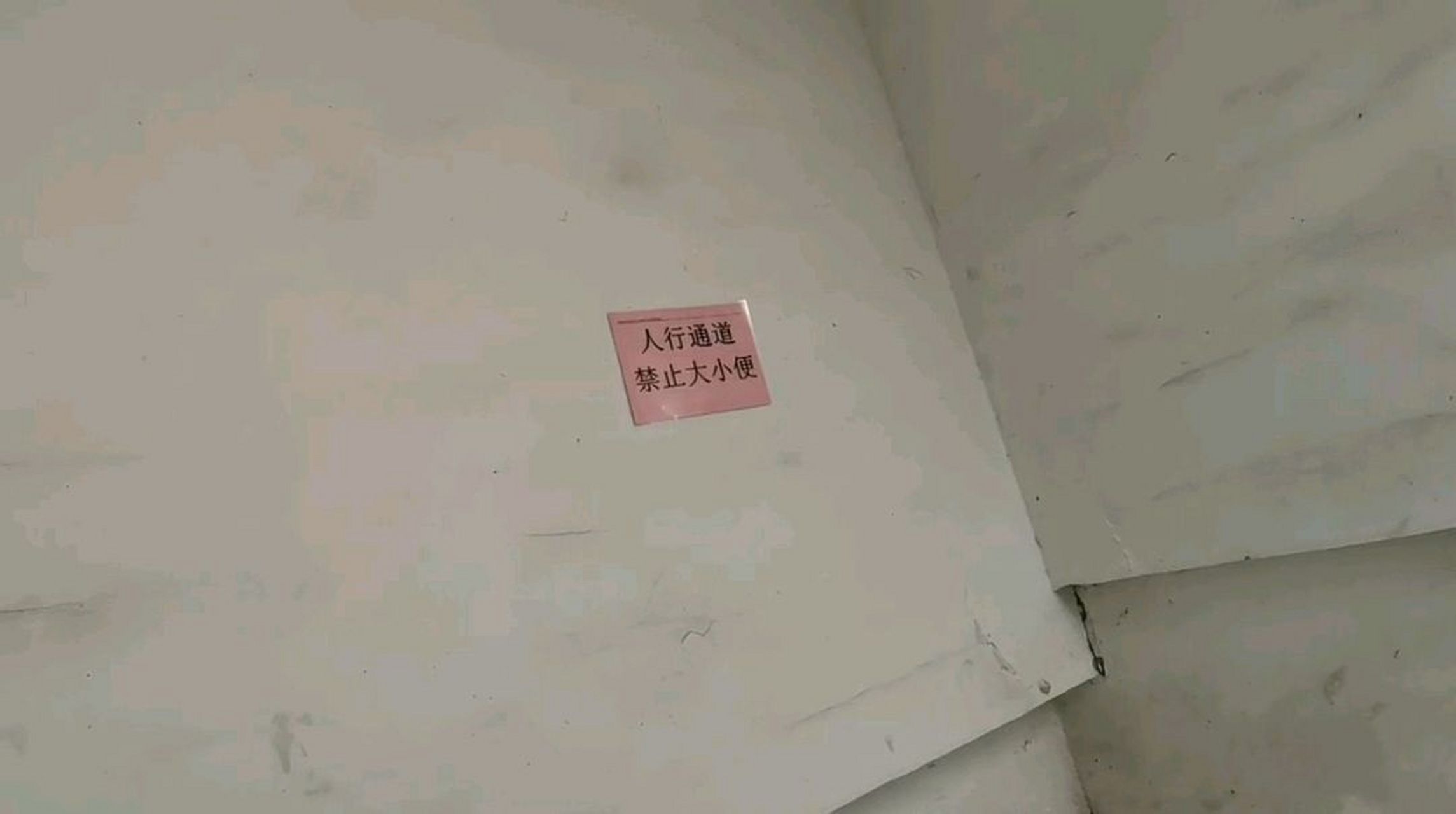 楼道内禁止大小便通知图片