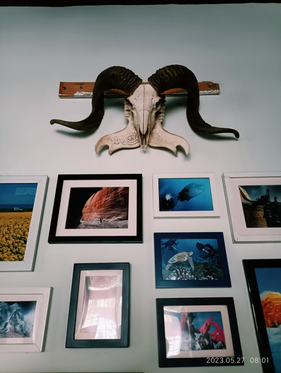 international youth hostel 文化交流/实践环保/社会责任/爱护大自然