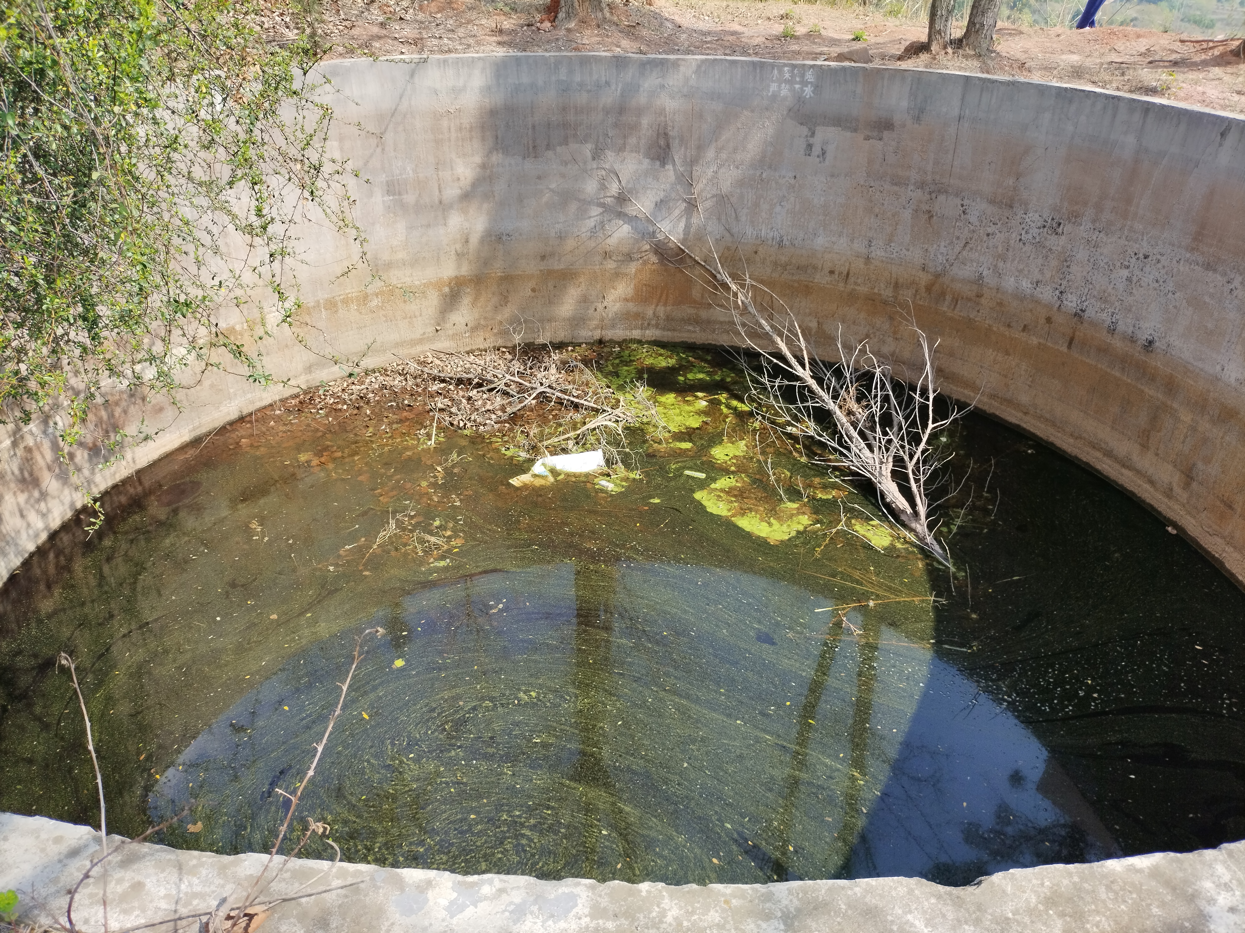 龙泉山上大池子,用途是这个